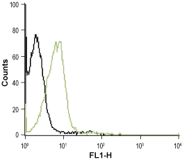 Cell surface detection of P2RY1 in intact living Jurkat cells: