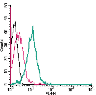 Cell surface detection of nAChRα7 in live intact human Jurkat T cell leukemia cell line: