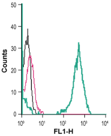 Cell surface detection of Kir2.1 in live intact human THP-1 monocytic leukemia cells: