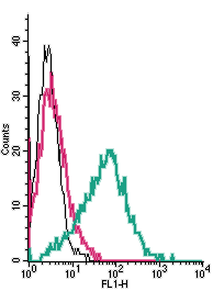 Cell surface detection of GPR39 by indirect flow cytometry in live intact human MEG-01 megakaryocytic leukemia cells: