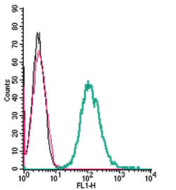 Cell surface detection of Neuropilin-1 by indirect flow cytometry in live intact mouse J774 macrophage cells: