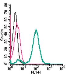 Cell surface detection of xCT/SLC7A11 by indirect flow cytometry in live intact human THP-1 monocytic leukemia cells:
