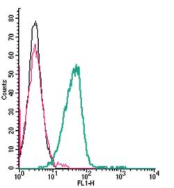 Cell surface detection of ATP1B2 by indirect flow cytometry in live intact mouse BV-2 microglia cells: