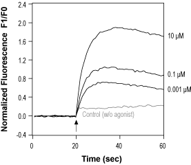 Alomone Labs Olvanil activates TRPV1 channels heterologously expressed in C-6 cells.