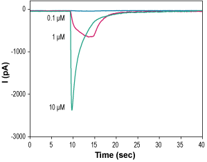 Alomone Labs Serotonin hydrochloride activates 5-HT3A receptors expressed in HEK 293T cells.