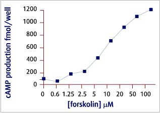 Alomone Labs Forskolin activates (in vivo) adenylate cyclase in NIH/C6 neuroblastoma cells.