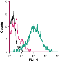 Cell surface detection of TNFR1 in live intact human MEG-01 megakaryoblastic leukemia cells: