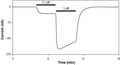 Alomone Labs Isoguvacine hydrochloride activates GABA(A) receptors expressed in Xenopus oocytes.
