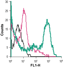 Cell surface detection of Glucose transporter 3 in live intact mouse J774 macrophage cell line: