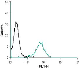 Cell surface detection of RAMP2 in live intact mouse J774 macrophage cells: