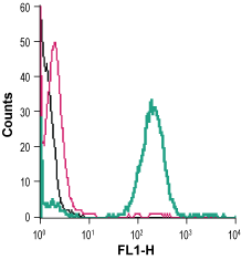 Cell surface detection of Zinc transporter ZIP8 in live intact human THP-1 acute monocytic leukemia cells: