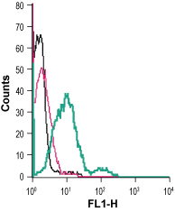 Cell surface detection of GPR56 in live intact human HL-60 promyelocytic leukemia cells: