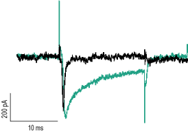 Hm1a Toxin Hm1a Toxin
