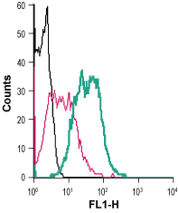 Cell surface detection of P2RY2 in live intact mouse J774 macrophage cells: