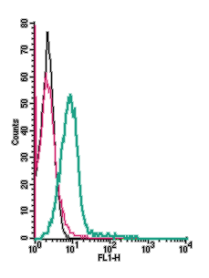 Cell surface detection of CCR9 by indirect flow cytometry in live intact mouse TK1 T-cell lymphoma cells: