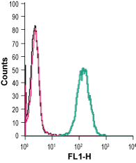 Cell surface detection of GPR91 in live intact human THP-1 monocytic leukemia cells: