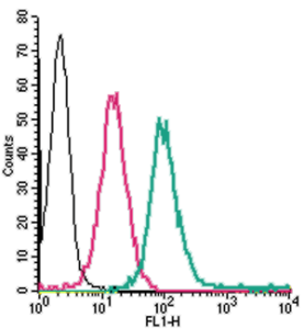 Cell surface detection of ADORA2A in live intact human THP-1 monocytic leukemia cells: