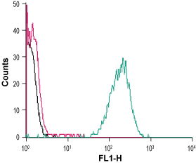 Cell surface detection of FFAR4 in live intact human THP-1 monocytic leukemia cells: