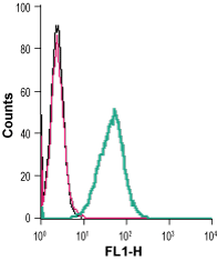 Cell surface detection of P2RY6 live intact mouse J774 macrophage cells: