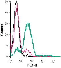 Cell surface detection of EphA3 in live intact human Jurkat T-cell leukemia cells: