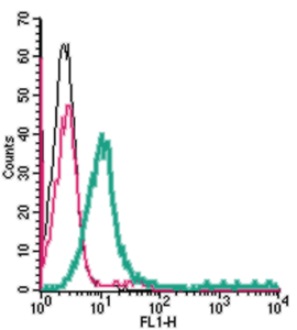 Cell surface detection of S1PR1 in live intact human Jurkat T-cell leukemia cells: