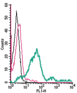 Cell surface detection of S1PR1 in live intact mouse TK-1 T-cell lymphoma cells: