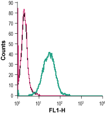 Cell surface detection of Adenosine A2A Receptor in live intact mouse J774 macrophage cells:
