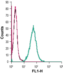 Cell surface detection of TREM2 in live intact mouse J774 macrophage cells: