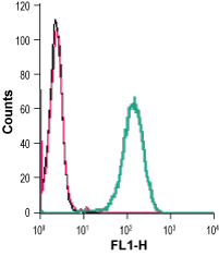 Cell surface detection of CD39 in live intact human THP-1 monocytic leukemia cells: