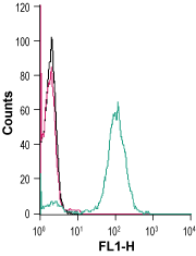 Cell surface detection of CX3CR1 in human THP-1 monocytic leukemia cells: