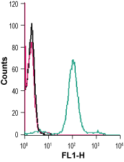 Cell surface detection of CCR2 in live intact human THP-1 monocytic leukemia cells: