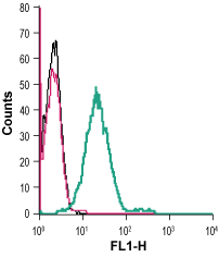 Cell surface detection of GPER1 in live intact human THP-1 monocytic leukemia cells: