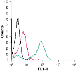 Cell surface detection of CD97/ADGRE5 in live intact human THP-1 monocytic leukemia cells: