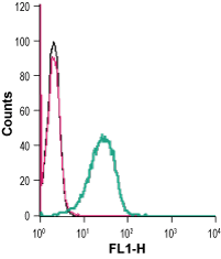 Cell surface detection of GPR34 in live intact mouse BV-2 microglia cells: