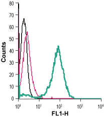 Cell surface detection of GLUT3 in live intact human THP-1 monocytic leukemia cells: