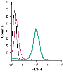 Cell surface detection of NPY1R in live intact human THP-1 monocytic leukemia cells: