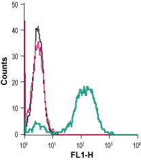 Cell surface detection of IGF1R in live intact human THP-1 monocytic leukemia cells: