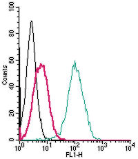 Cell surface detection of S1PR5 by indirect flow cytometry in live intact human THP-1 monocytic leukemia cells: