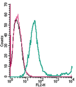 Cell surface detection of GPR65 in live intact mouse EL4 T-cell lymphoma cells: