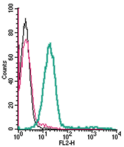 Cell surface detection of GPR65 in live intact human THP-1 monocytic leukemia cells: