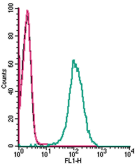 Cell surface detection of PAR2 in live intact human THP-1 monocytic leukemia cells: