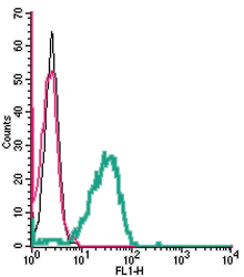 Cell surface detection of SLC11A1 in live intact human THP-1 monocytic leukemia cells: