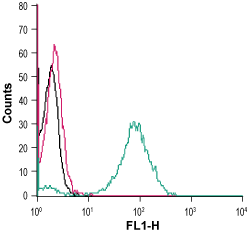 Cell surface detection of GPR55 in live intact human THP-1 monocytic leukemia cells: