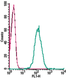 Cell surface detection of ATP1B3 in live intact human THP-1 monocytic leukemia cells: