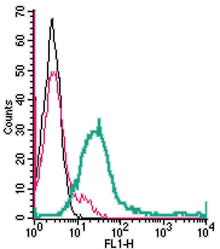 Cell surface detection of GPR171 in live intact human Jurkat T-cell leukemia cells: