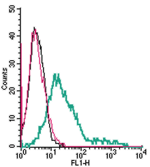 Cell surface detection of 5HT7 Receptor in live intact human MEG-01 megakaryoblastic leukemia cells: