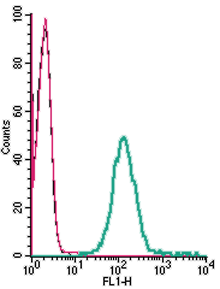 Cell surface detection of CRLR in live intact human THP-1 monocytic leukemia cells: