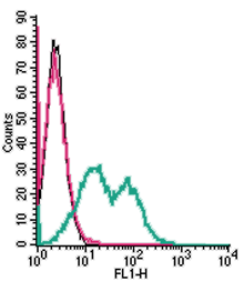 Cell surface detection of TMEM119 in live intact mouse BV-2 microglia cell line: