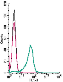 Cell surface detection of CX3CR1 in live intact mouse BV-2 microglia cells: