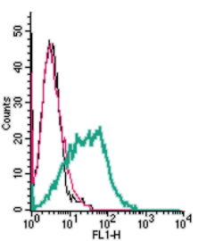 Cell surface detection of Histamine H1 Receptor in live intact human MEG-01 megakaryoblastic leukemia cells: